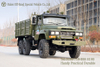 Dongfeng Pointed Cab สีเขียว 6WD รถบรรทุกสินค้า_หัวยาวแก้วเดี่ยว Cab 6 × 6 รถบรรทุก