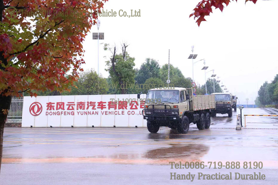 01 (43) 